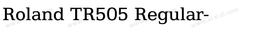 Roland TR505 Regular字体转换